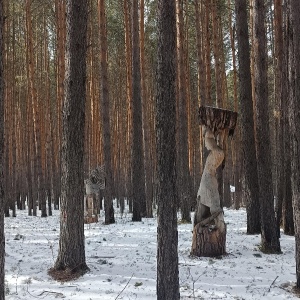 Фото от владельца Лукоморье, парк деревянных скульптур