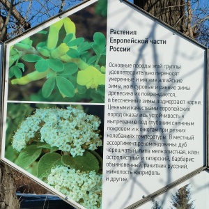 Фото от владельца Дендрарий, НИИ садоводства Сибири им. М.А. Лисавенко