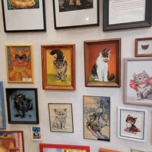 Фото от владельца Murarium, музей кошек