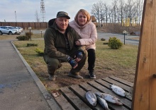 д. Огуднево: Турбаза Золотые караси