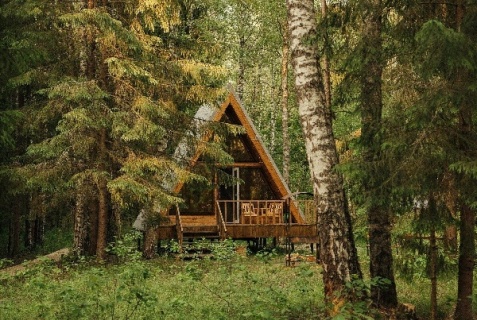 Лужский муниципальный район: Турбаза Живой ручей