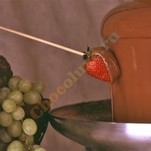 Фото от владельца Chocoluxe.ru, интернет-магазин шоколадных фонтанов