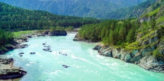 Чемал: Коттедж Lucky house