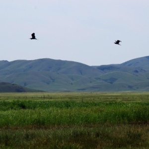 Фото от владельца Nomadic travel kazakhstan, туристическое агентство