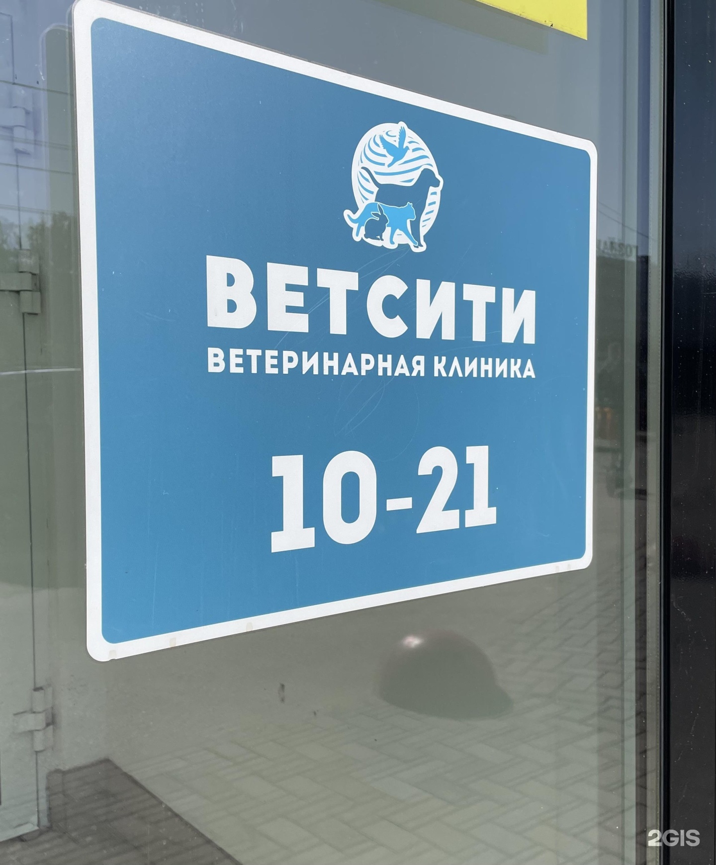 Ветсити центр ветеринарная клиника. Ветсити.