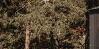 Чемал: Глэмпинг Алтерия