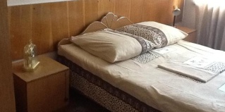 Кисловодск: Отель Родина