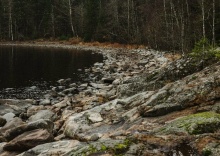 Сортавальский район: Глэмпинг Lago Ladoga