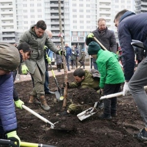 Фото от владельца Южный, ландшафтный парк