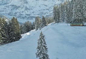 Отель Hotel Dolina в Губахе