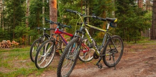 Ершовские Выселки: Апартаменты Крутой яр