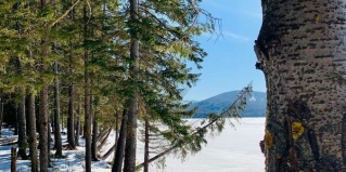 Зюраткуль: Гостевой дом Home sweet home