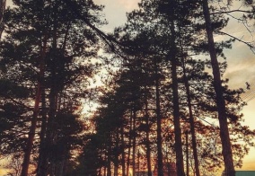 Отель Прованс в Горячем Ключе