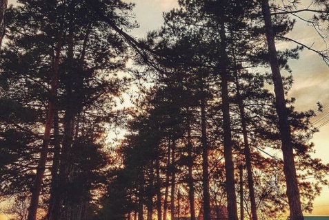 Горячий Ключ: Отель Прованс