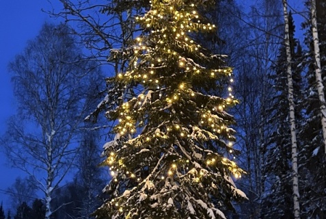 Шерегеш: Коттедж Лесной