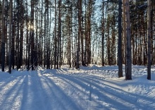 Томск: Коттедж Буревестник