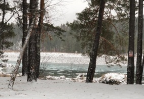 Турбаза Алтай в Республике Алтай