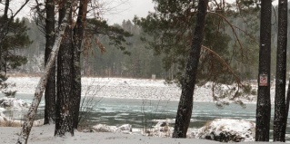 Чемальский район: Турбаза Алтай