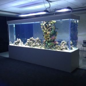 Фото от владельца АКВАРИУМ, ООО, компания по изготовлению и обслуживанию морских аквариумов