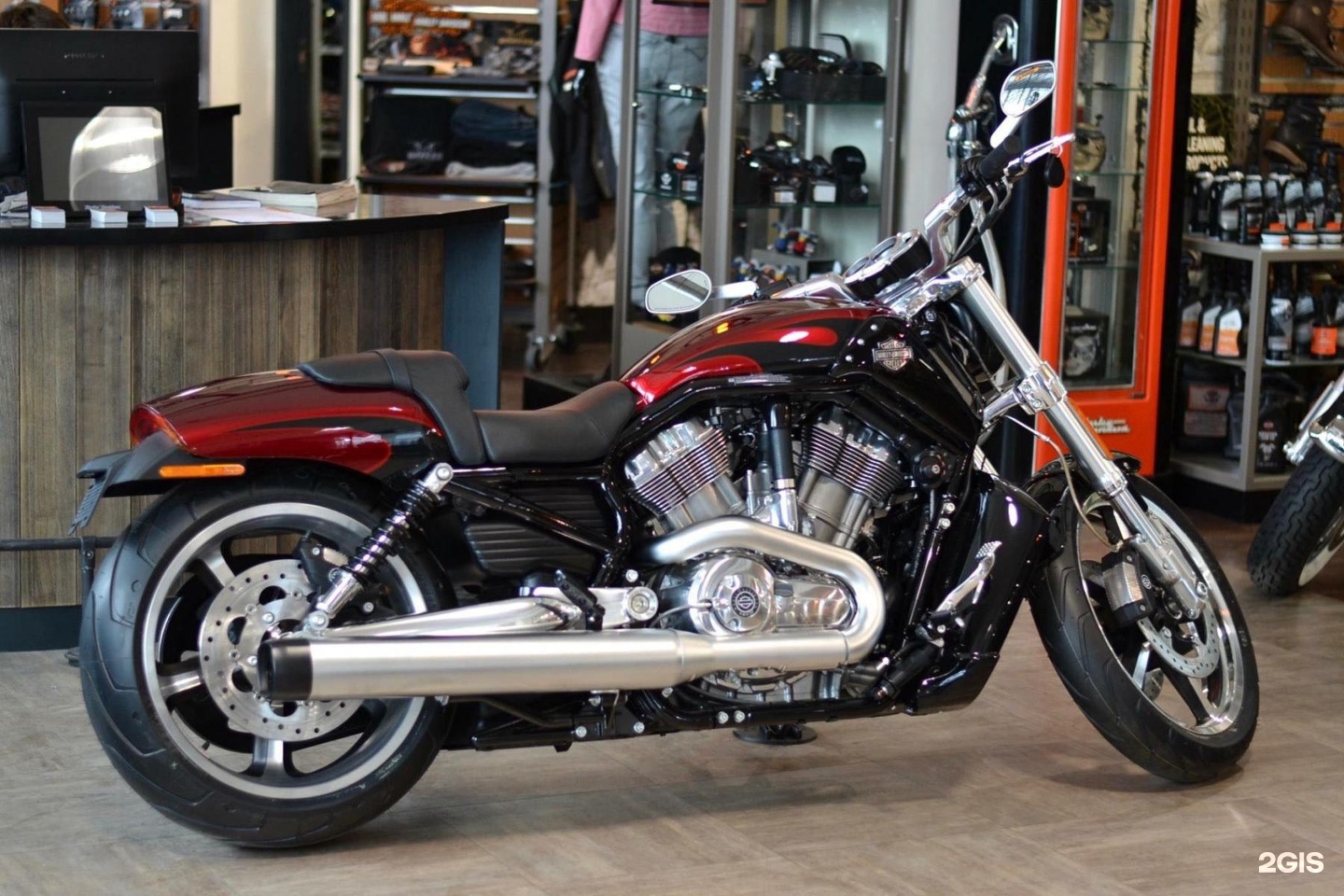 Harley Davidson v Rod muscle 2015