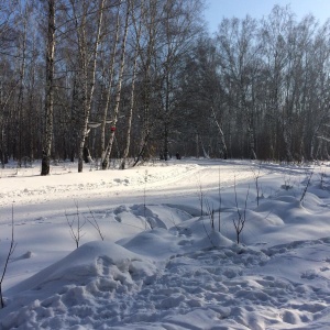Фото от владельца Сибирь, лыжная база