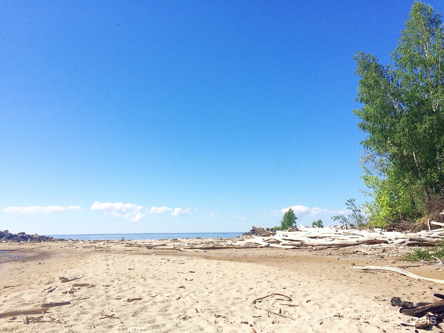 море в бердске