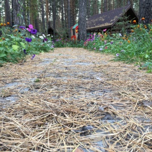 Фото от владельца Заельцовский, парк культуры и отдыха