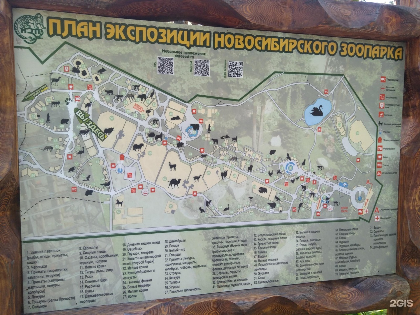 Карта новосибирского зоопарка