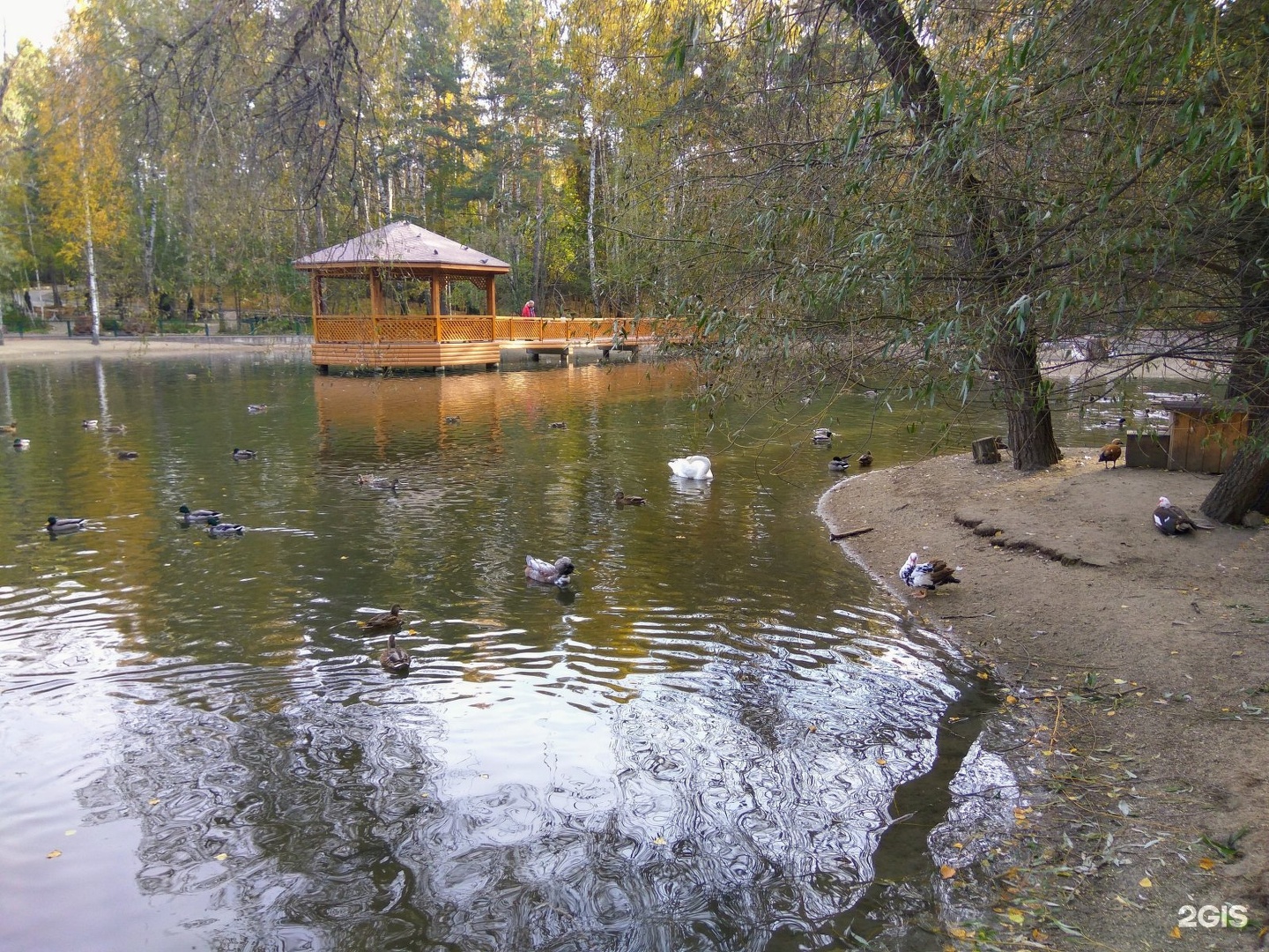 зоопарк озера