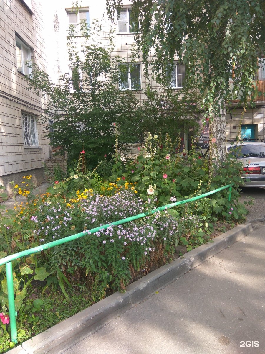 Зорге 80 новосибирск. Ноовет зорге 183. Зорге 183 новосибирск. Зорге 179/1 новосибирск салон красоты. Парихмастерская омск.