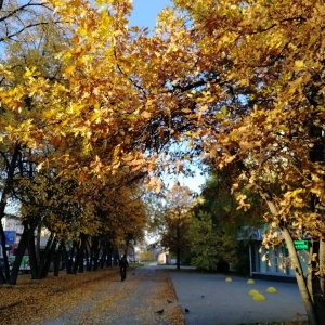 Фото от владельца Доступная Сибирь, ООО, оптово-розничная компания