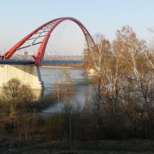 Фото от владельца Бугринская роща, парк культуры и отдыха