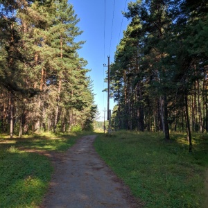 Фото от владельца Метелица, лыжная база