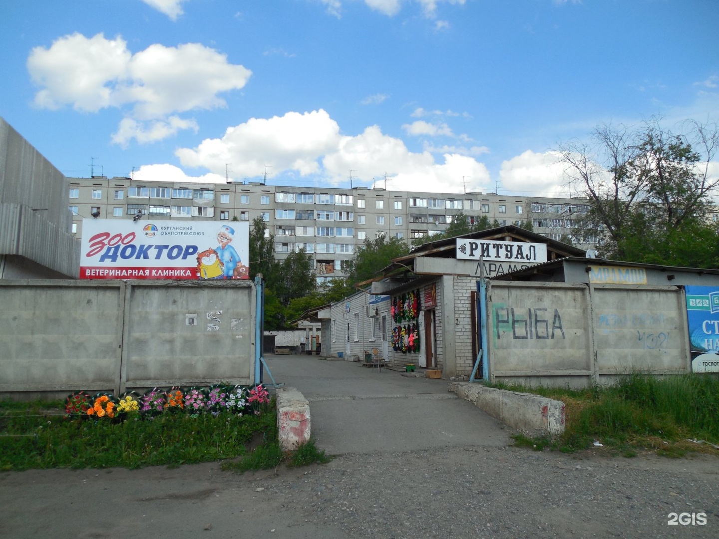 Зоодоктор прокопьевск. ЗООДОКТОР, Курган. ЗООДОКТОР Сыктывкар. ЗООДОКТОР Сясьстрой. Тореза 41 Новокузнецк ЗООДОКТОР.