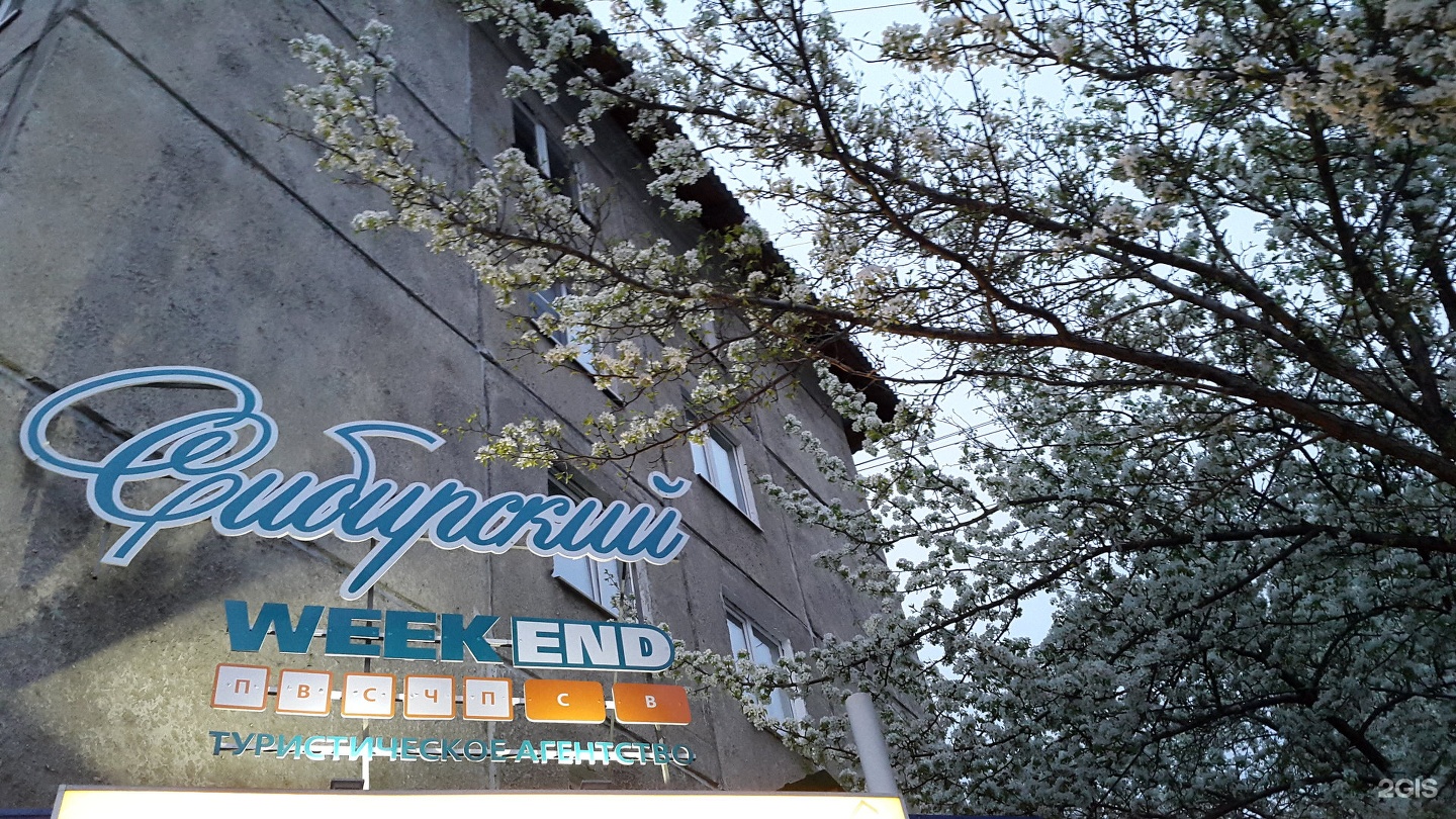 Агентство шелехов. Теремок агентство недвижимости ковров. Мегаполис недвижимость логотип. Агентство недвижимости квартал. Логотип агентства по недвижимости новосел.