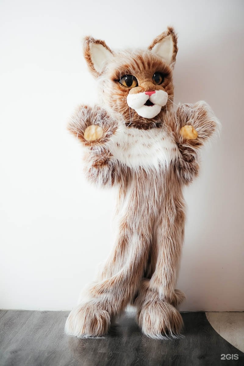 реалистичный костюм кота. ростовые куклы кот. ростовая кукла белый кот. белый кот в костюме. ростовая кукла кошечка.