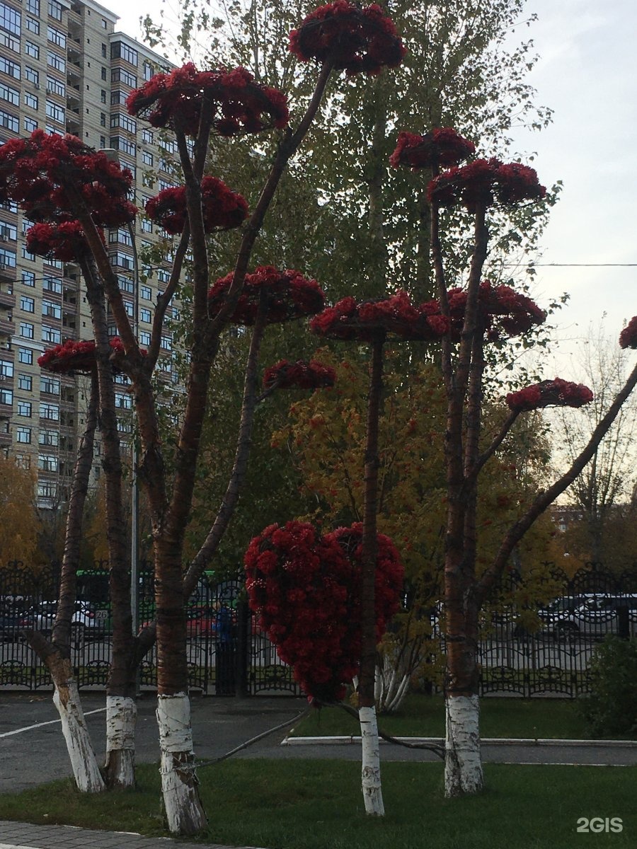 Тюменский кардиологический центр мельникайте