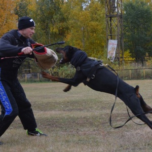 Фото от владельца Анкур, спортивно-кинологический центр