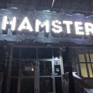 Фото от владельца Bar Hamster