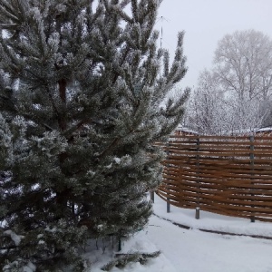 Фото от владельца Ладья, банный комплекс