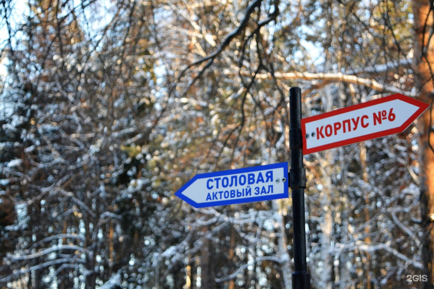 Карта сосновый бор санаторий