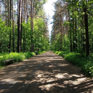 Фото от владельца Счастье есть, парк культуры и отдыха