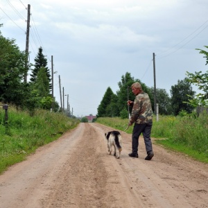 Фото от владельца Лесоруб, компания по удалению и обрезке деревьев