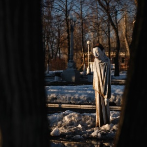 Фото от владельца Струковский сад