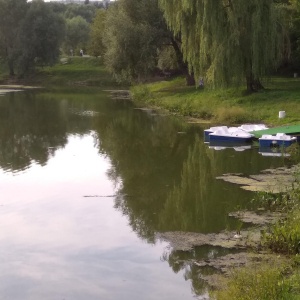 Фото от владельца Воронежские озера, парк