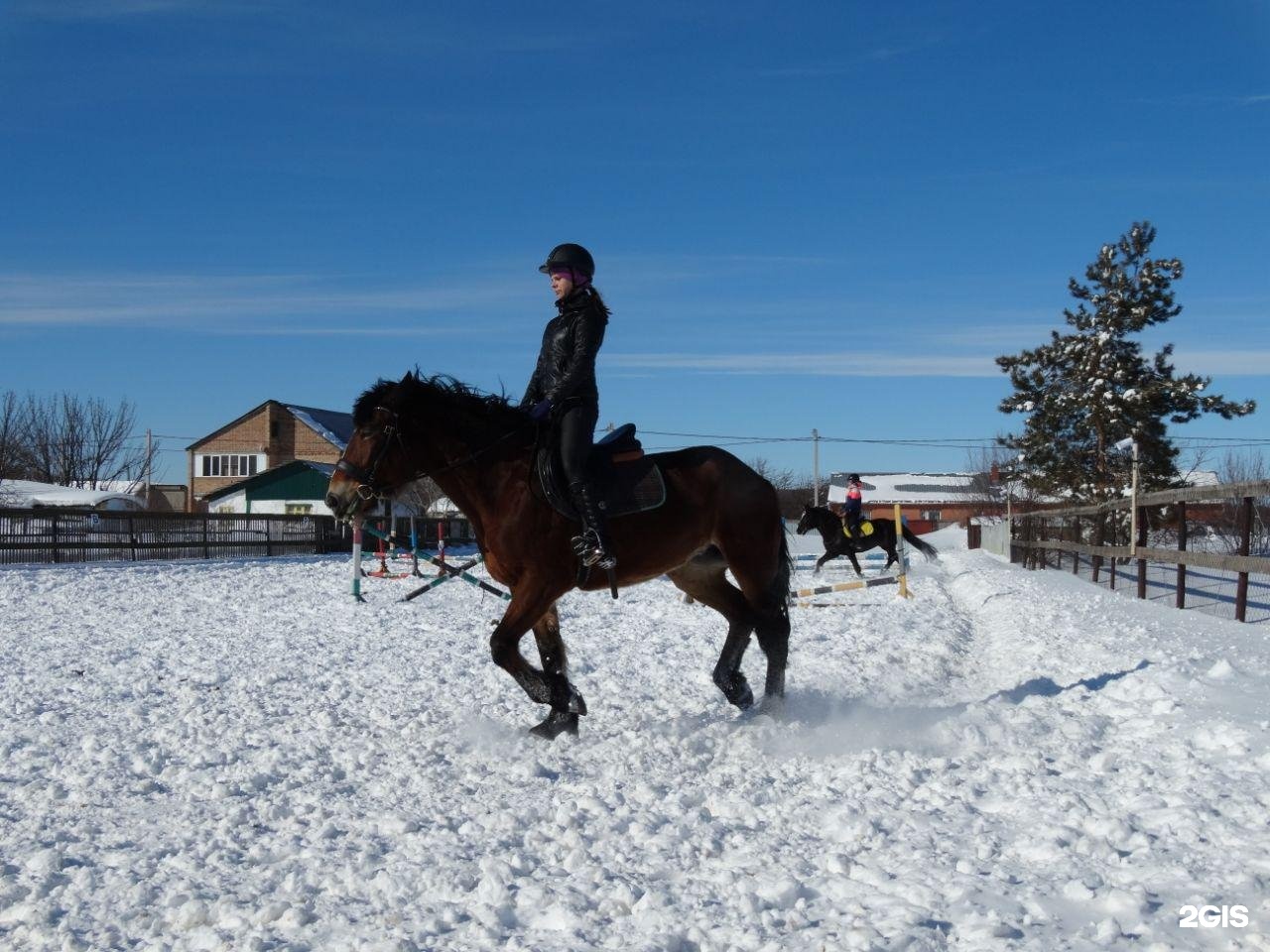 конюшня в суровикино. конный клуб самара. буденовец лошадь. конный клуб самара. конный клуб самара.