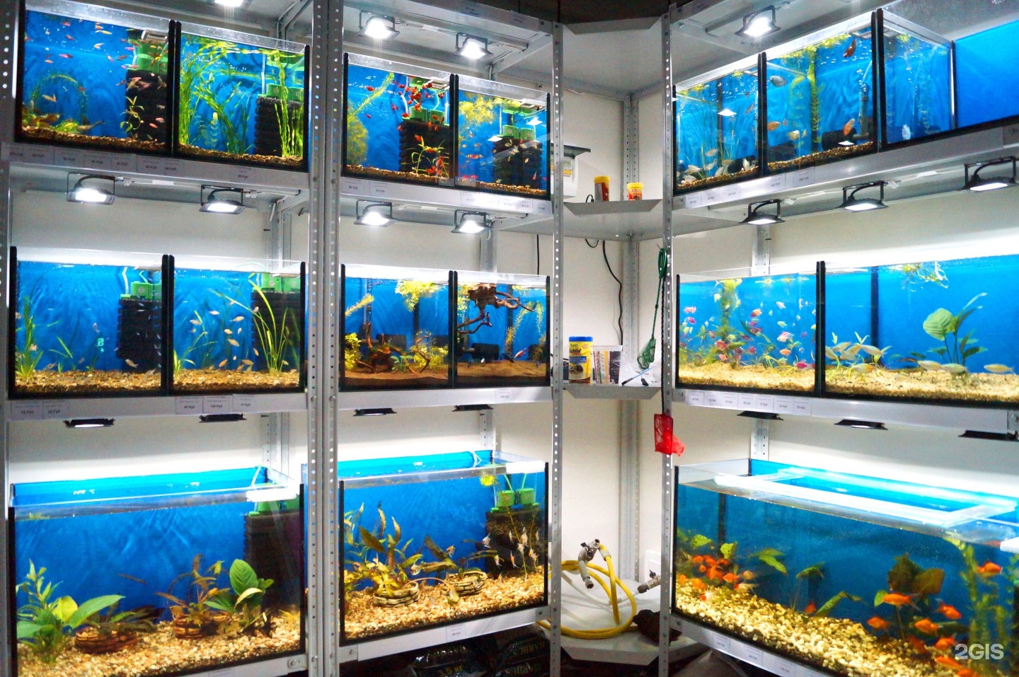 Зоомагазин аквариум