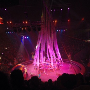 Фото от владельца Нижегородский цирк