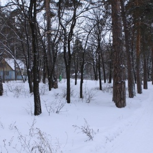 Фото от владельца Сосновый бор, турбаза