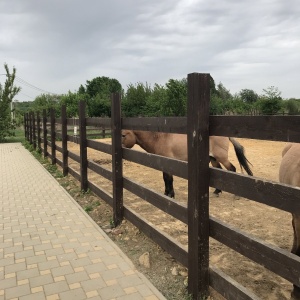 Фото от владельца Ростовский зоопарк